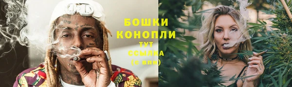 скорость Ельня