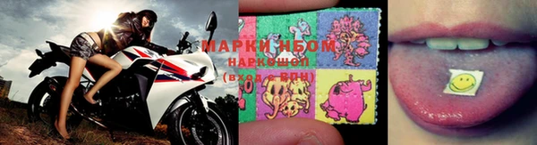 скорость Ельня