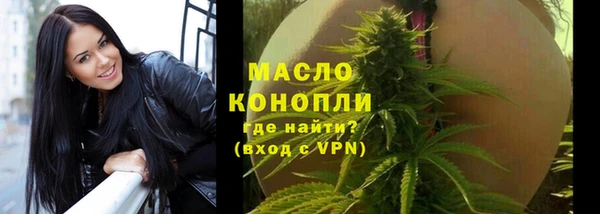 скорость Ельня