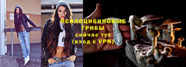 прущие крисы Дмитровск