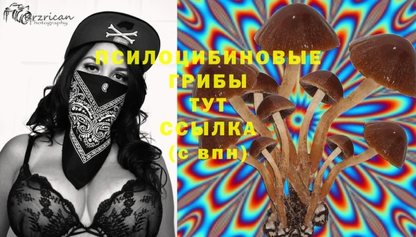 меф Елабуга