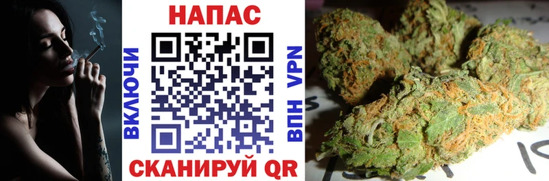 МЕГА   Злынка  Конопля планчик 